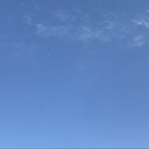 Meet your Posher, Teddi